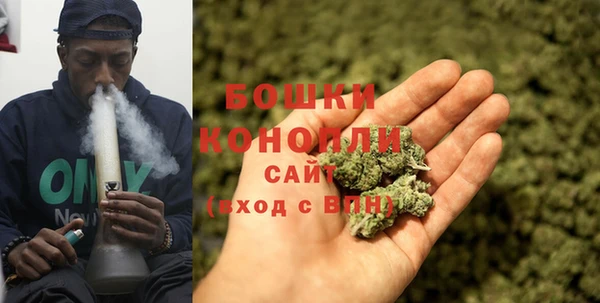 стафф Кулебаки