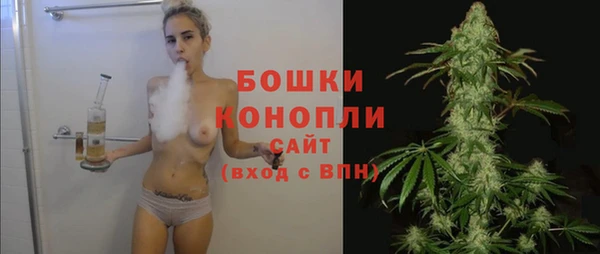 стафф Кулебаки